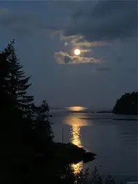 View 78
