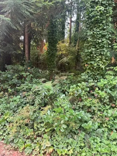 156&160 Harlech Rd, Qualicum Beach BC V9K 1G9