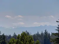View 21