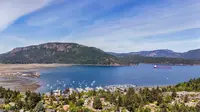 View 37