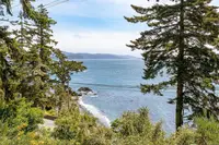 View 46