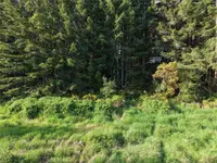 View 27