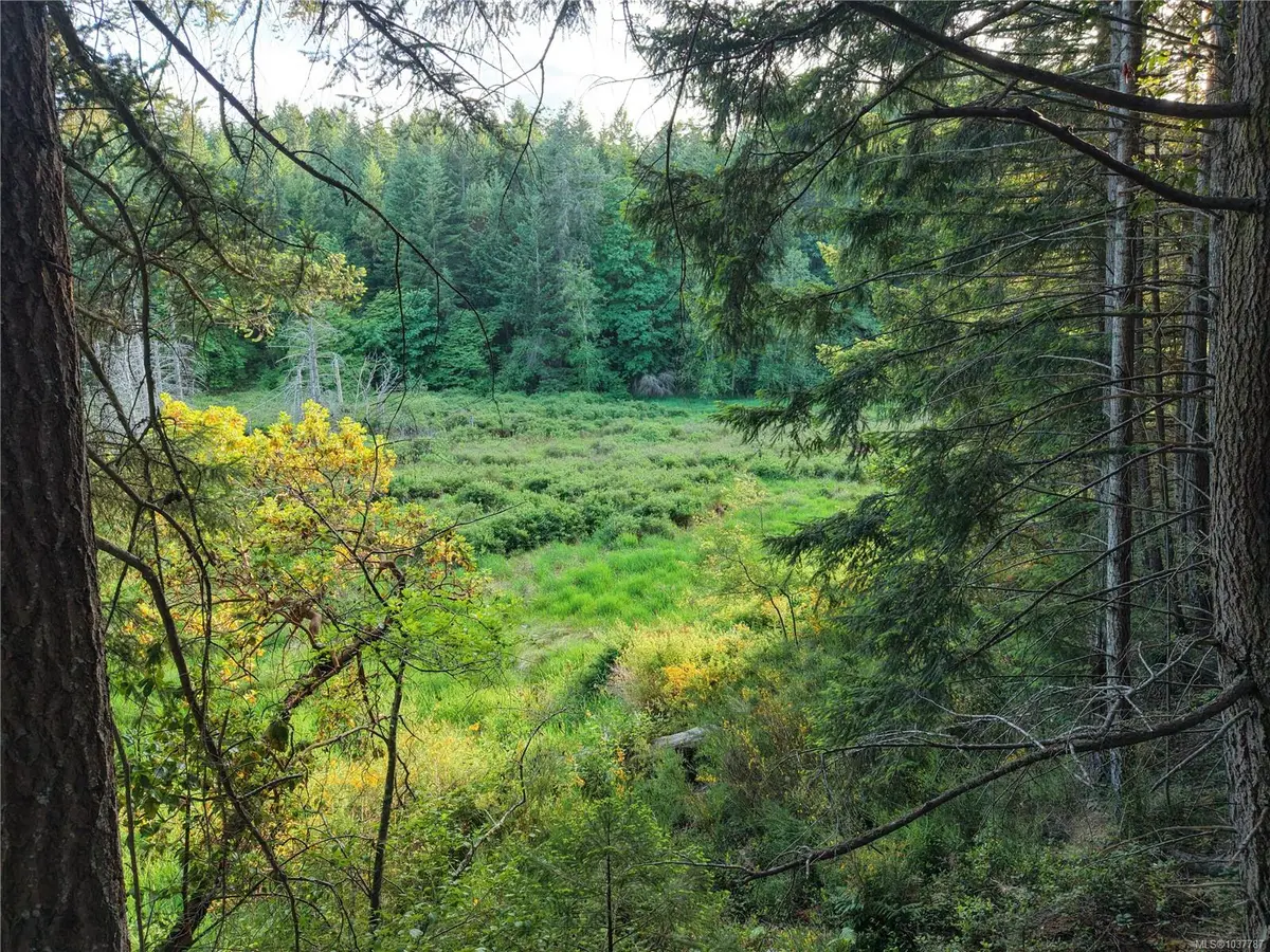Lt 1 Ingram Rd, Nanaimo BC V9X 1W8