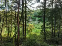 View 30