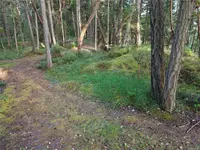 View 10