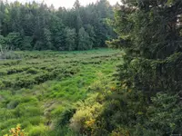 View 31