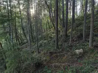 View 29
