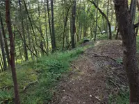 View 21
