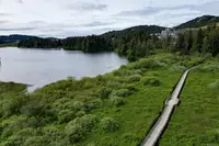 View 30
