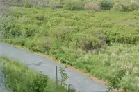 View 34