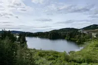 View 31