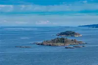 View 61