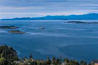 View 55