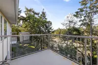 View 39