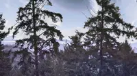 View 13