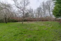 View 43