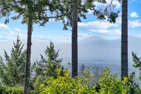 View 32