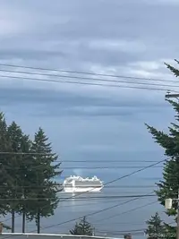 View 55