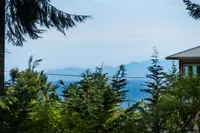 View 79