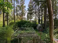 View 34