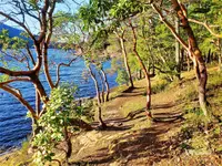 View 12