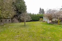 View 44