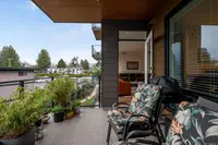 View 15
