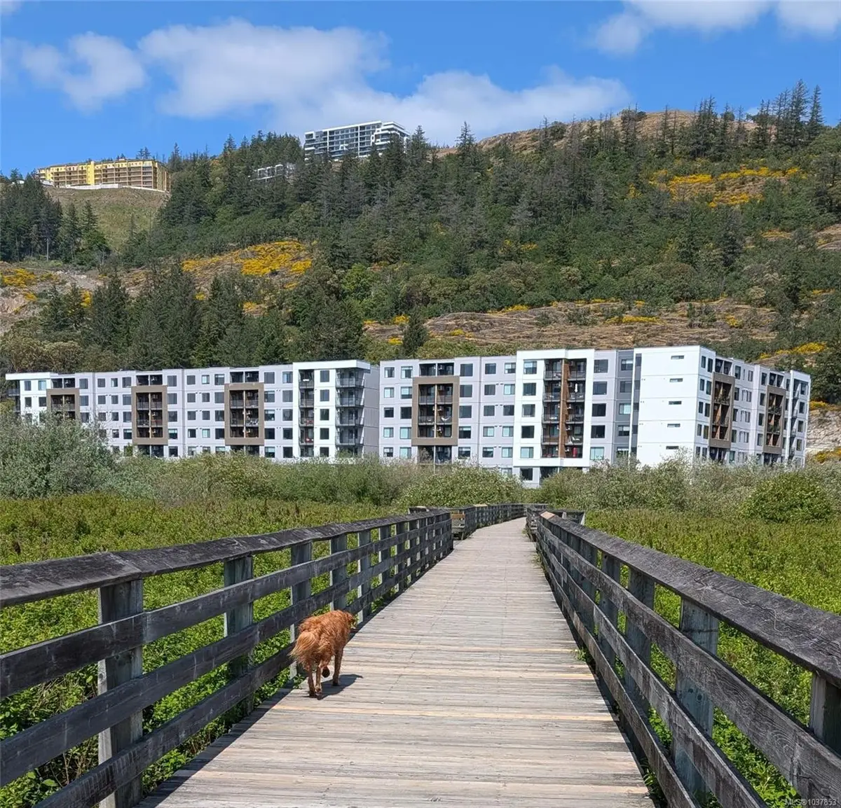 1361 Goldstream Ave #511, Langford BC V9B 7B4