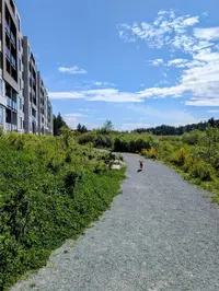 View 18