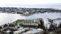 View 54