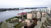 View 50