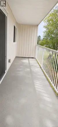 View 19