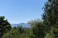 View 30