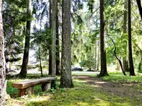 View 42