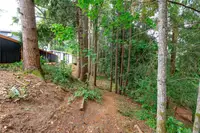 View 52