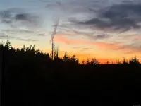 View 42