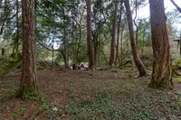 View 29