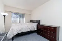 View 17