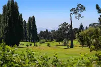View 75