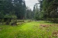 View 86