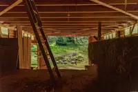 View 78