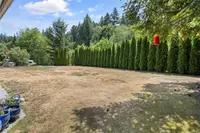 View 39