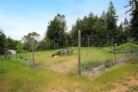View 50