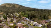 View 39