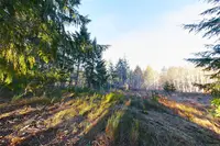 View 16