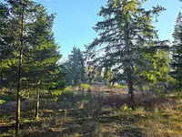 View 10