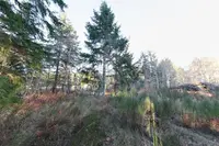 View 18