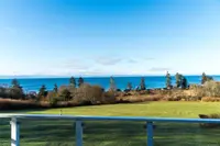View 14