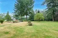 View 61