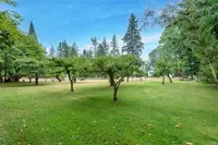 View 51